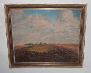 MRAKY NAD KRAJINOU - ŘEBÍČEK LADISLAV