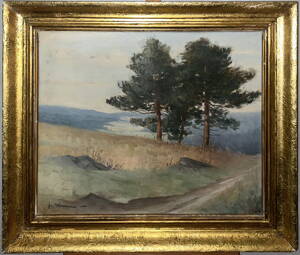 BOROVICE U POLE - SIGNOVÁN