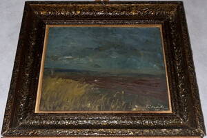 POLE U VODY - ČIHÁK FRANTIŠEK