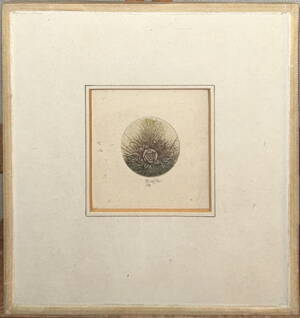 KVĚTINY - SIGNOVÁN