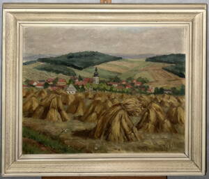 SNOPY ZA VSÍ - STUDENÁ J.