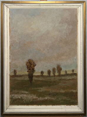 STROMY V KRAJINĚ - BRUNNER JAROMÍR