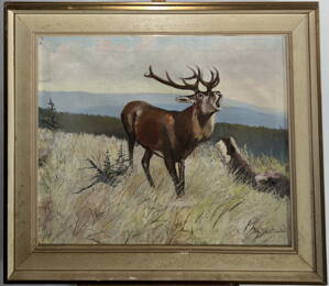 JELEN V ŘÍJI - KŮTA