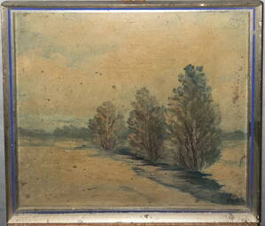 KRAJINA SE STROMY - HÁJEK