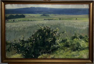 POLE V KRAJINĚ - ŠTEMBERA JOSEF