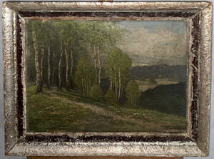 BŘEZOVÝ HÁJ NA KOPCI - TRINKMOC LADISLAV