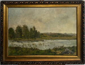 NA STARÉM LABI - KRAHULÍK JAN