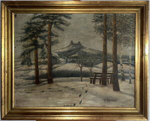 TROSKY V DÁLI V ZIMĚ - ŠILHAVÝ VLADIMÍR