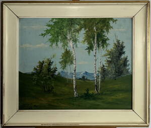 BŘÍZY - CHOCHOLA OTTA