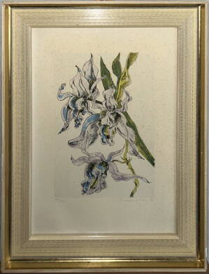 ORCHIDEJ - SIGNOVÁN