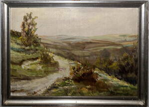 CESTA V KOPCOVITÉ KRAJINĚ - STEIN VÁCLAV