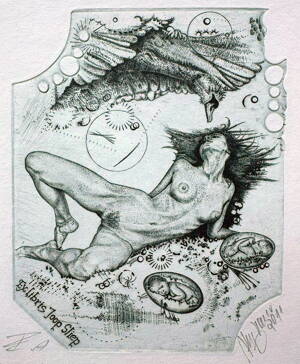 AKT - LEDA S LABUTÍ V. - HUJBER GÜNTER