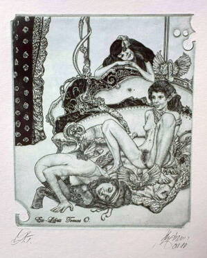 AKT - POCTA FRANZI VON BAYROSOVI V. - HUJBER GÜNTER