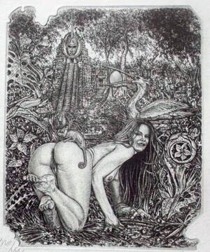 AKT ZTRACENÝ RÁJ II. - HUJBER GÜNTER