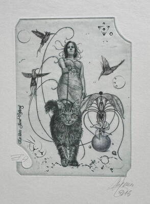 KOČKY - HUJBER GÜNTER