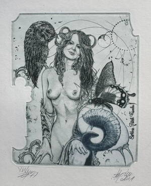 AKT - MOTÝL NEDBALE HLÍDAJÍCÍ SOVÍ VEJCE - HUJBER GÜNTER