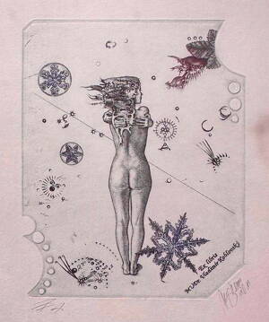 ROČNÍ OBDOBÍ ZIMA - HUJBER GÜNTER