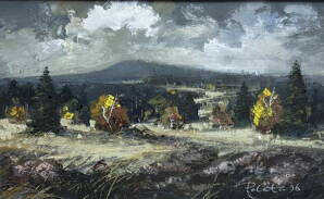 ŠUMAVSKÁ KRAJINA - POLATA KAREL