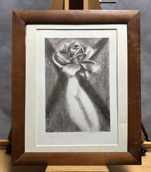 AKT DÍVKA RŮŽE - KAISER JAROSLAV