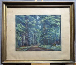 LES V BOUBÍNSKÉM PRALESU - KALOUS ANTONÍN