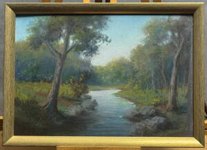 STROMY U ŘEKY - MAYER CHARLES