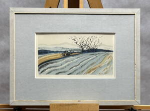 BRÁZDY NA POLI - NOŽIČKOVÁ STEHLÍKOVÁ DANUŠE