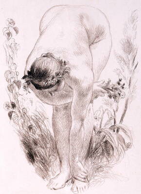 AKT SBÍRÁNÍ KVĚTŮ - OBROVSKÝ JAKUB