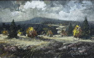 ŠUMAVSKÁ KRAJINA - POLATA KAREL