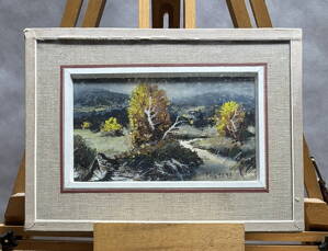 ŠUMAVSKÝ POTOK - POLATA KAREL