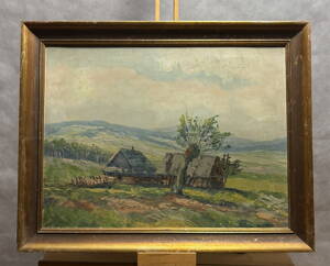 VRBA ZA CHALUPAMI - PROCHÁZKA