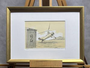 VÍRNÍK CIERVA - PTÁČEK PETR