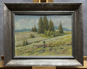 BAŽANTI NA STRÁNI - REJLEK