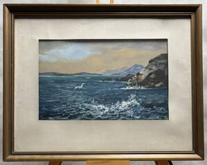 RACKOVÉ U MOŘSKÉHO POBŘEŽÍ - STEHLÍK KAREL