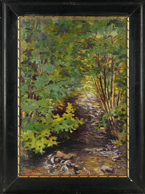 ZAROSTLÝ POTOK - SVĚTLÍK EDUARD