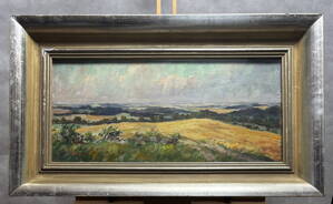 V POLÍCH NA OSOBLAŽSKU - TOMEK ANTONÍN