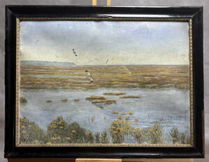 ČEJKY – PTÁCI NAD VODOU - WURZINGER