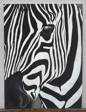 ZEBRA - PRUHY V POHYBU - NEZNÁMÝ AUTOR