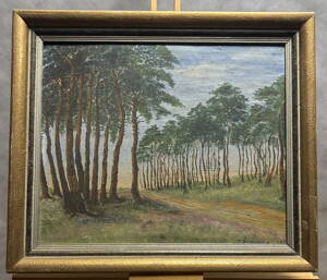 BOROVÝ HÁJ - ŽEMLIČKA J.