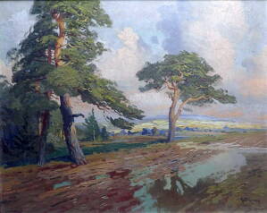 KALUŽE U BOROVIC - BERGHAUER /HORYNA/ BOHUMIL