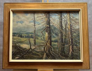 DRSNÁ KRÁSA HOR - NEZNÁMÝ AUTOR