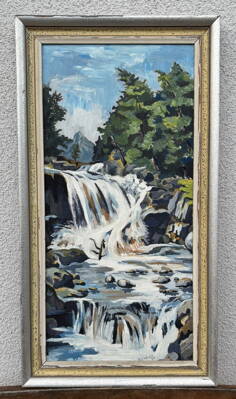 HORSKÝ POTOK - ENDLER M.