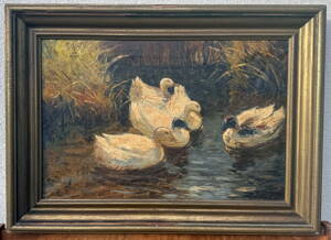 KACHNY NA RYBNÍKU - FISCHHOF GEORG SCHWARTZ K.