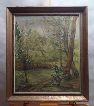 LESNÍ CESTA - HLÍNA F.