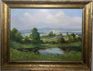 MOKŘADY V KRAJINĚ - STEIN VÁCLAV