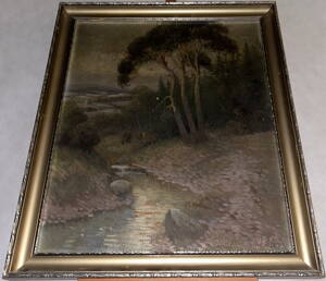 POTOK V TEMNÉM LESE - ŠTĚDRÝ J.