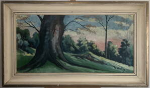 MOHUTNÝ KMEN - SIGNOVÁN