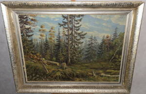 POKÁCENÉ STROMY V LESE - PECHOUŠEK