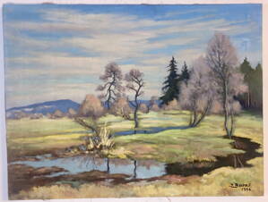 KRAJINA - BUREŠ JAROSLAV