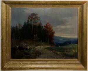 CESTA DO ÚDOLÍ - NEZNÁMÝ AUTOR