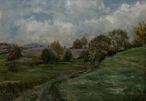 LUČNÍ PASEKA U VÁPOVIC - BOROVIČKA FRANTIŠEK